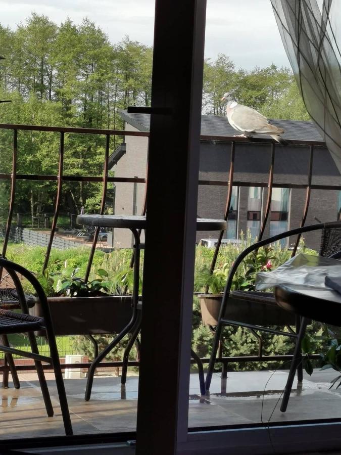 Neringa Apartamentai Połąga Zewnętrze zdjęcie
